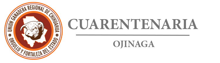 LOGO_COJINA