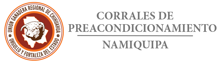 LOGO_NAMI