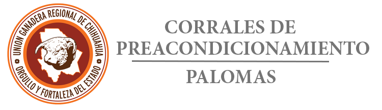LOGO_PALOMAS