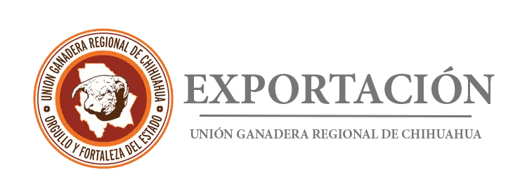LOGO_EXPORT