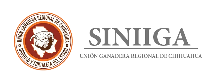 LOGO_SINIIGA