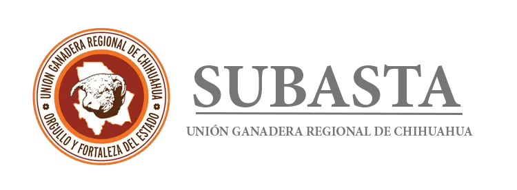 LOGO_SUBASTA